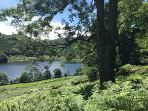 Previous Retreats