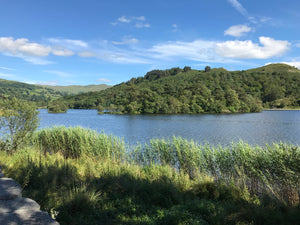 Previous Retreats