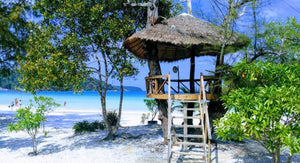 Previous Retreats